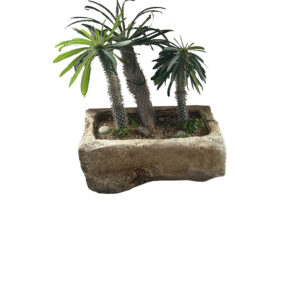 19th Century Limestone Planter