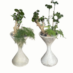 Willy Guhl Diabolo Planters - SOLD